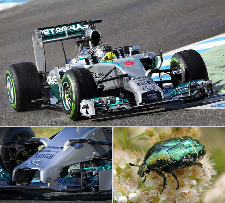 Mercedes AMG Petronas. Фото болида Формулы-1