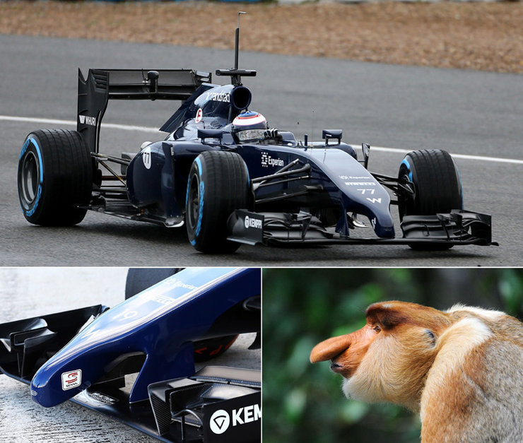 Williams F1 Team. Фото болида Формулы-1