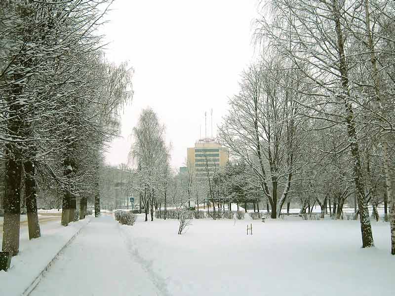 ����� ������. �������� ����� �����������. ����. 