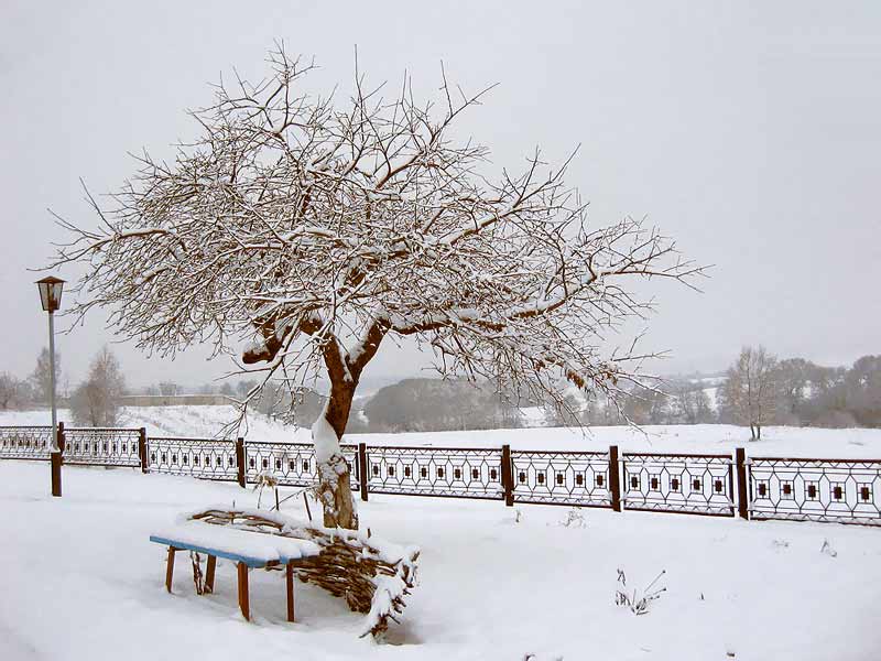 ������. ������� ������.  ���������� ������. ��������