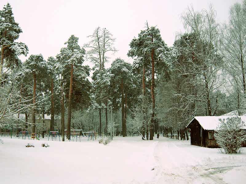 ������� ������. �������� ��� ��������� ������ � 19 ����. �������� ��� �� ������ ����� �����, � �� ������ �������. ��������. ����. 