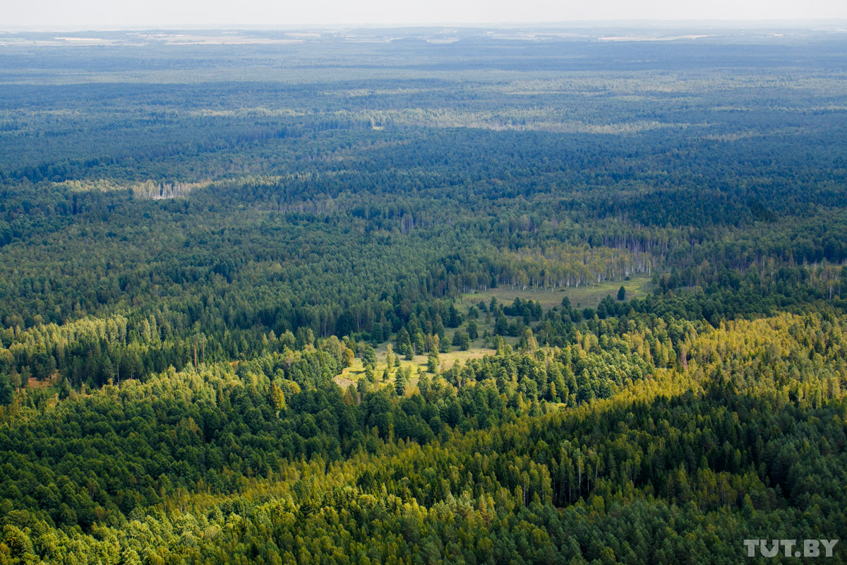      -    
 :  http://news.tut.by/society/410592.html
