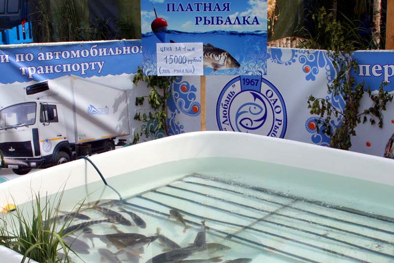 Рыбалка в Беларуси. Платная рыбалка. Фотография