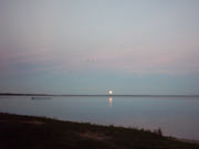 ������ �����. ����. ��������