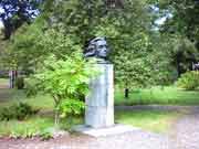 ���� ��������. ��������. ����