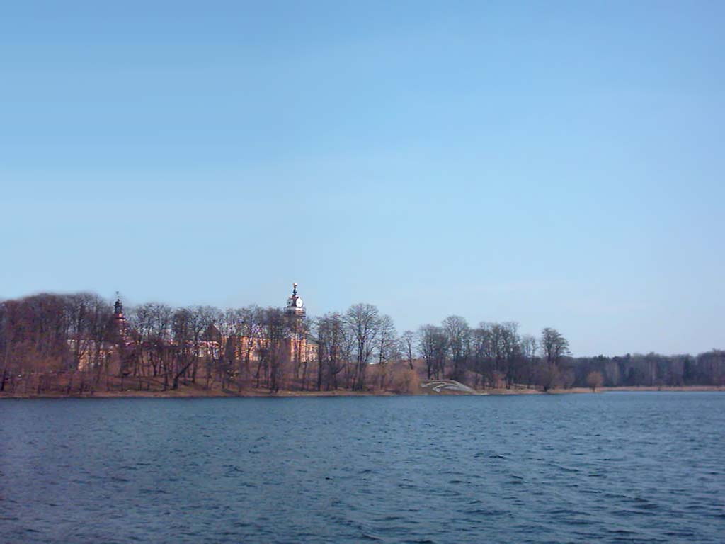 .  .  .  Nesvizh.