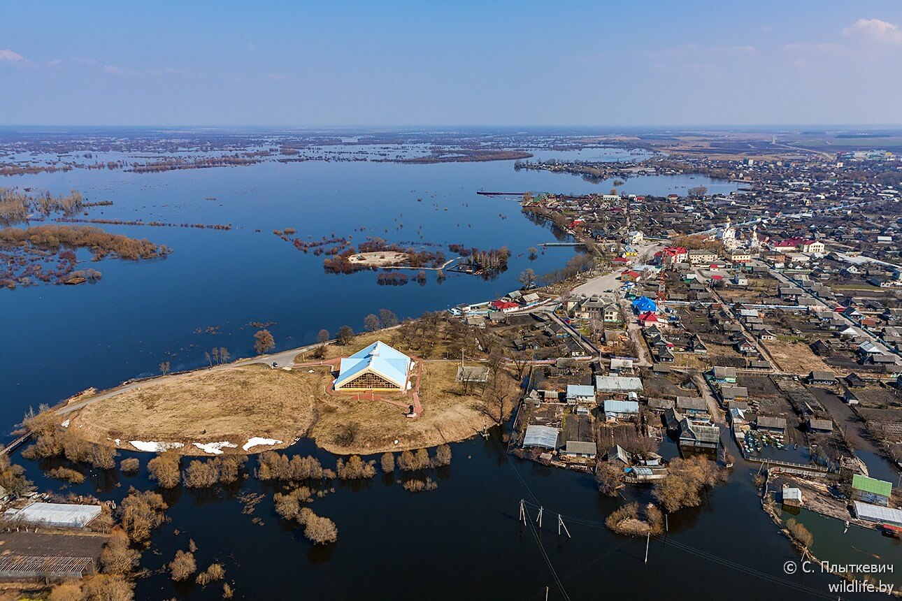 ����� �� ����� ������� �������