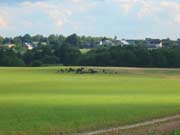 ���� ���� �� � ��������... ������� - ������� ������!