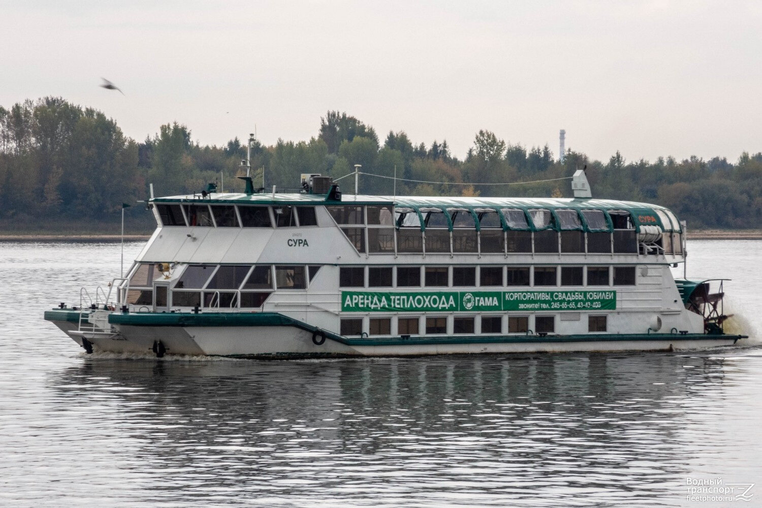     , 2019 .    ,    fleetphoto.ru.   . . 