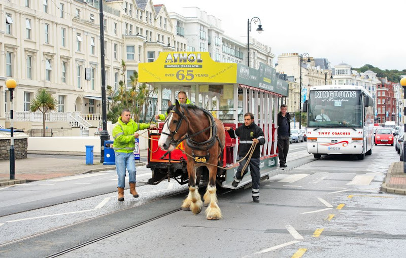 ������ ���. ����� ������. �����. ����