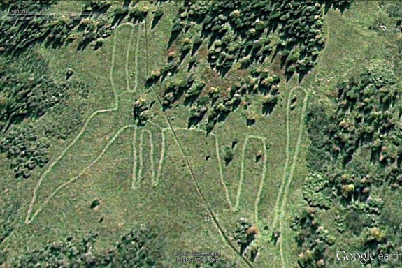 Линии Наски. фото