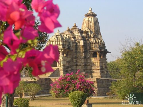 ������ ���������. ����. ��������