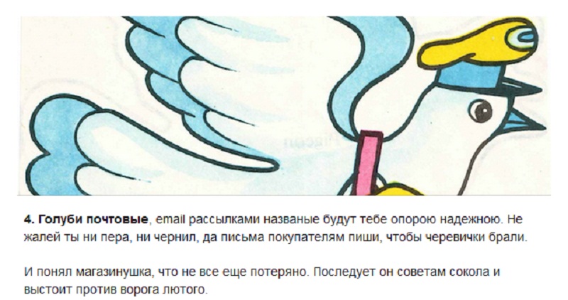   , email      . 