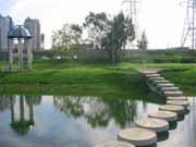 �����. ���������� �����