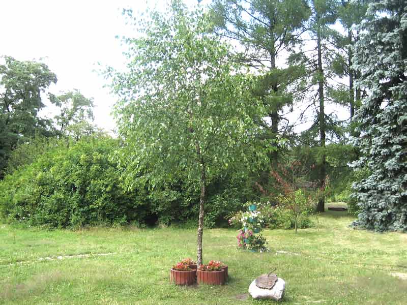 �� ��������, ��� ��������� ����� � ������� ��������, ��� ��� ������ ������� ���������, ���������� ������������ ��� � 1999 ����. ����. ��������