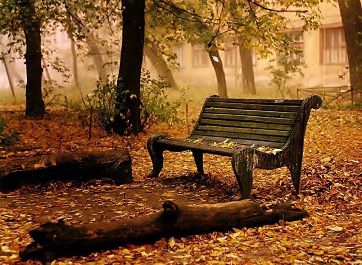Осень в парке. фото