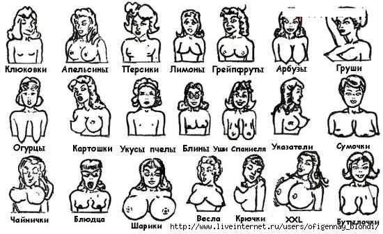 Виды женской груди. Фото. Картинка