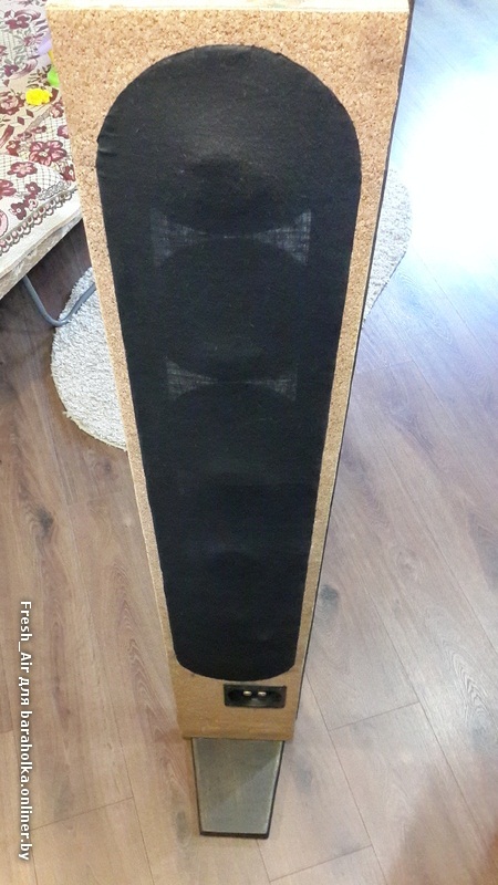 ����� ��������� ���������. �������� ������� ������� SCART. ����. 