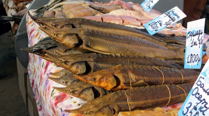 Селенские Исады - рыбный рынок в Астрахани. Икры , конечно на нем нет