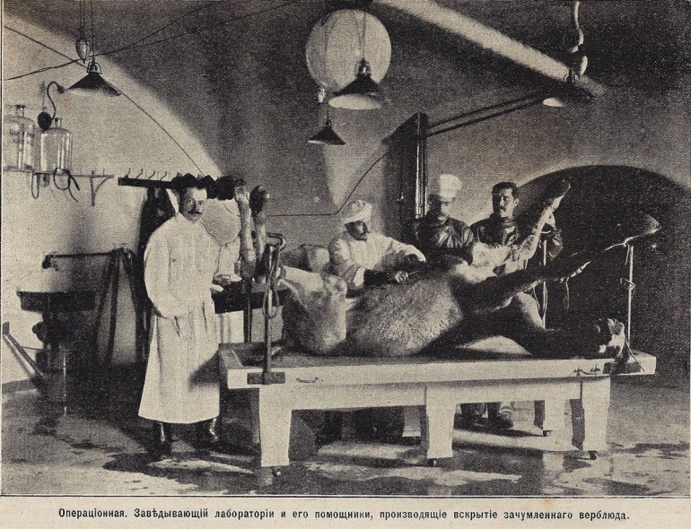 фото. История фортов Кронштадта, Крепость Кронштадт