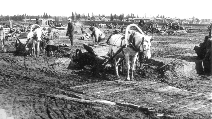 Грабари на канале Москва-Волга