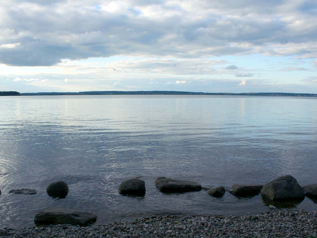 Минское Море Пляжи Фото