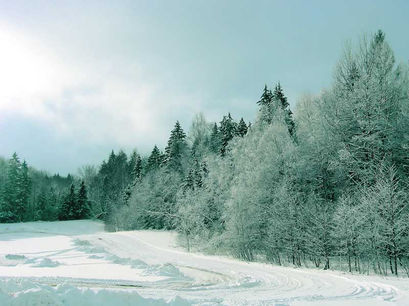 Зимняя дорога на опушке леса близ Якут 