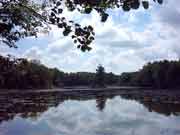 ������� ���������. ����