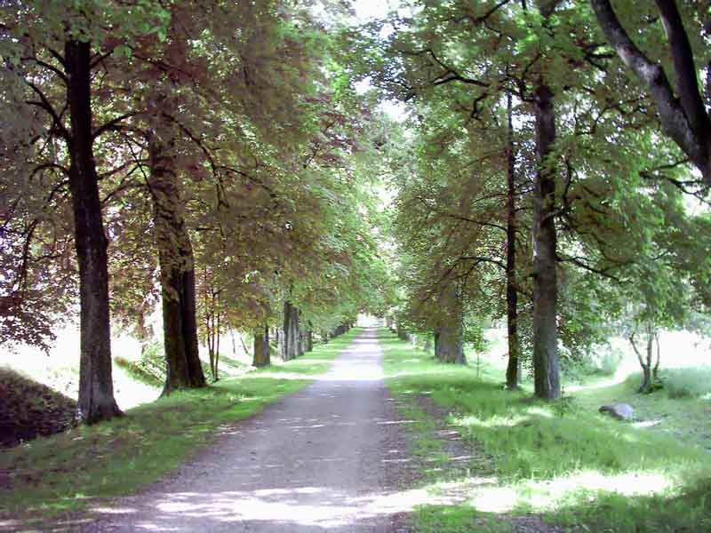 ������� ����������� �������� ���������