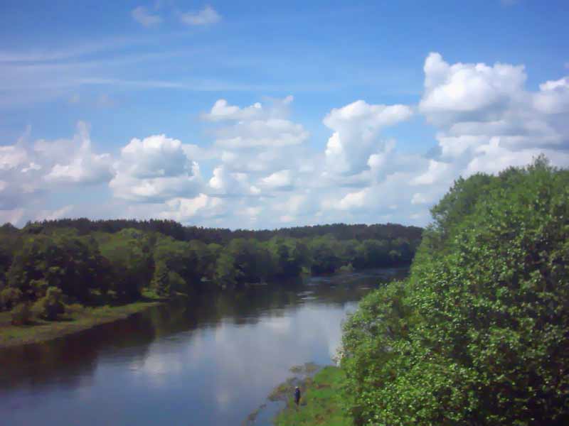 ���� ����� ��� ���������. ����������. ��������