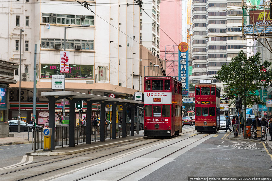 ���������� ����������� �������! ����� ������������ � ���� ���������� �������, ������������ ������������� ����������. ����