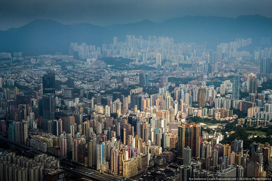 ������ �������. ����