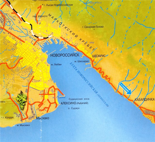 ���� �������������. ����������. �������. ��������. ����������� ������. ��������